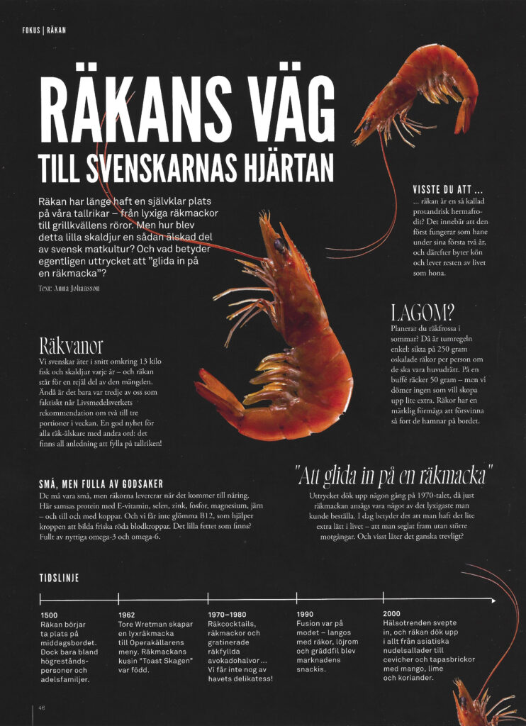 artikel räkan till svenskarnas hjärtan av Anna E. Johansson