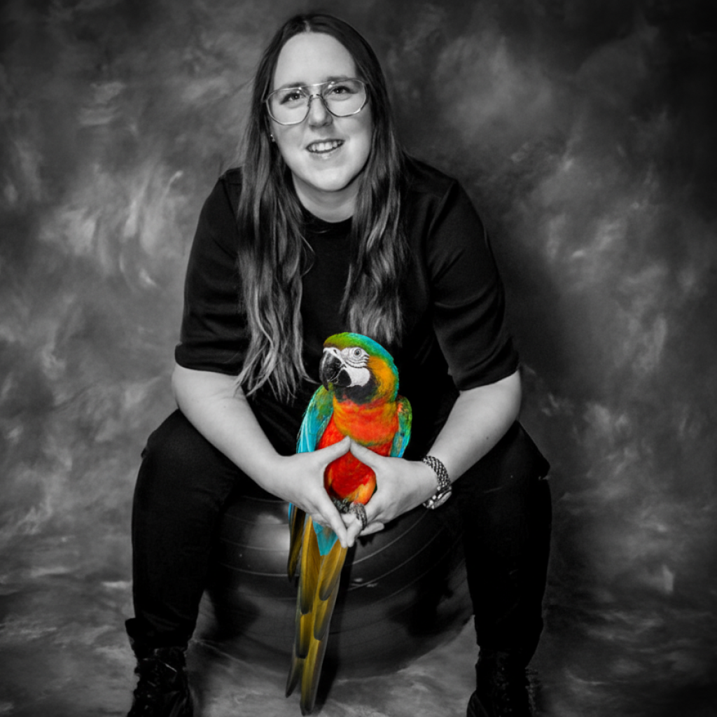 Emma med flerfärgad AI-Ara